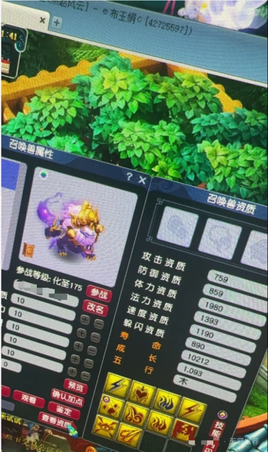 梦幻西游,谛听,梦幻西游