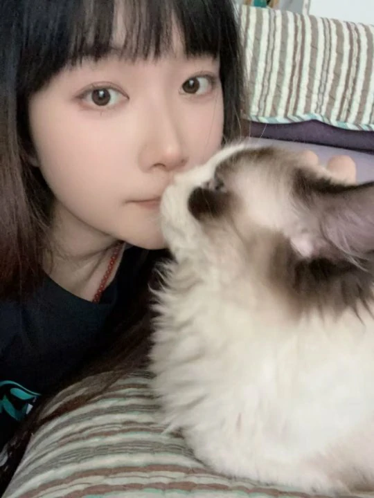 梦幻西游,女神,御姐,萝莉,梦幻西游