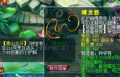 梦幻西游,愤怒破血,宠装
