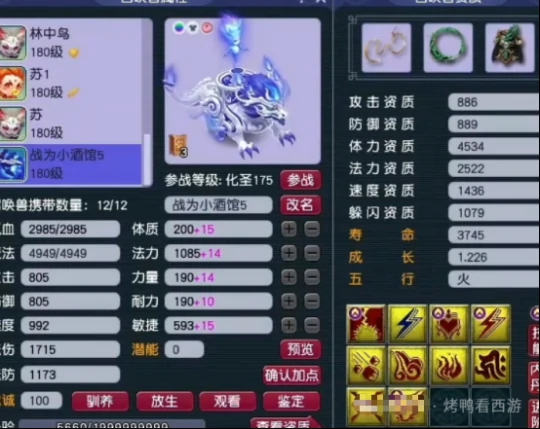 梦幻西游,奇袭玉,观照谛听,梦幻西游