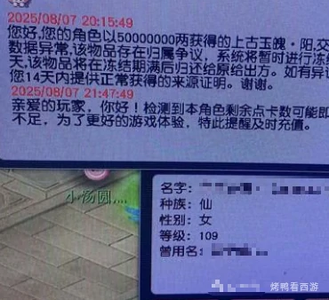梦幻西游,净台金蝉,双固伤奇袭,梦幻西游