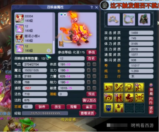 梦幻西游,服战展示,175ES,175NE,梦幻西游