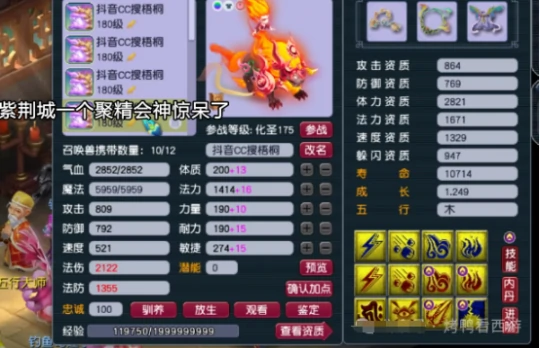 梦幻西游,服战展示,175ES,175NE,梦幻西游