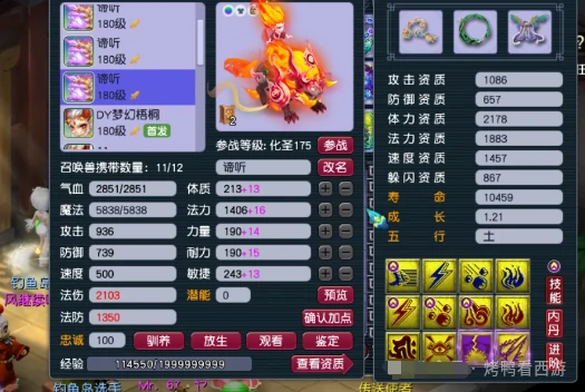 梦幻西游,服战展示,175ES,175NE,梦幻西游