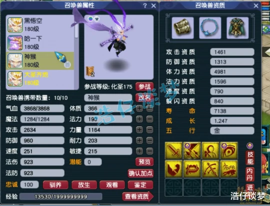 梦幻西游,梦幻西游,梦幻西游
