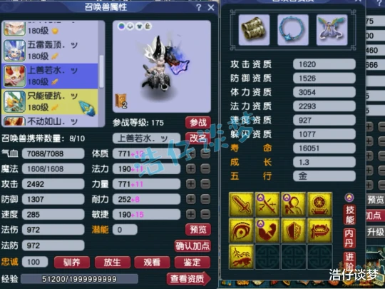 梦幻西游,梦幻西游,梦幻西游