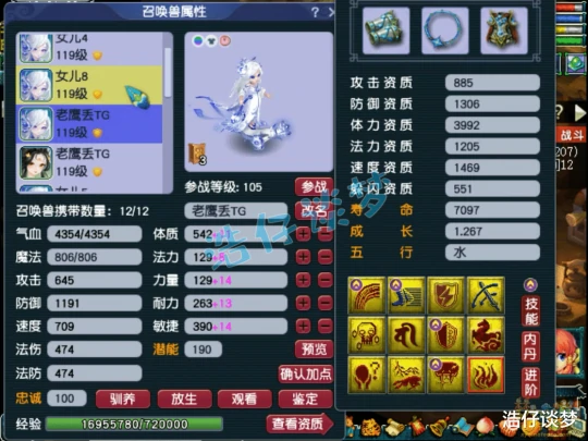 梦幻西游,梦幻西游,梦幻西游