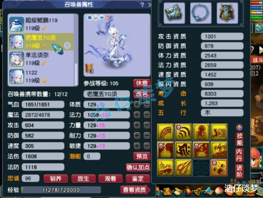 梦幻西游,梦幻西游,梦幻西游
