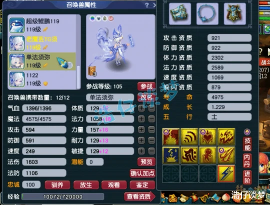 梦幻西游,梦幻西游,梦幻西游