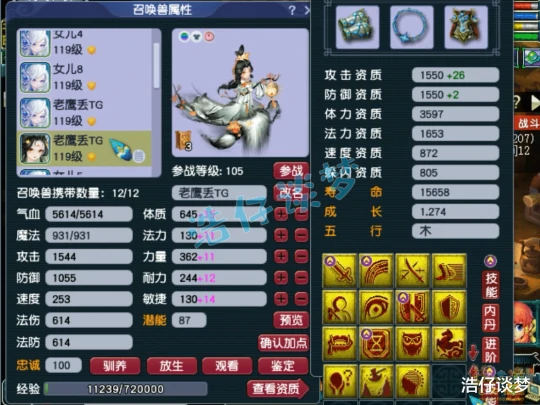梦幻西游,梦幻西游,梦幻西游