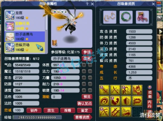 梦幻西游,梦幻西游,梦幻西游