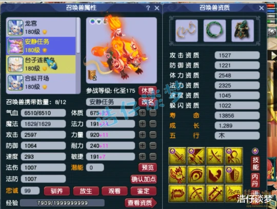 梦幻西游,梦幻西游,梦幻西游