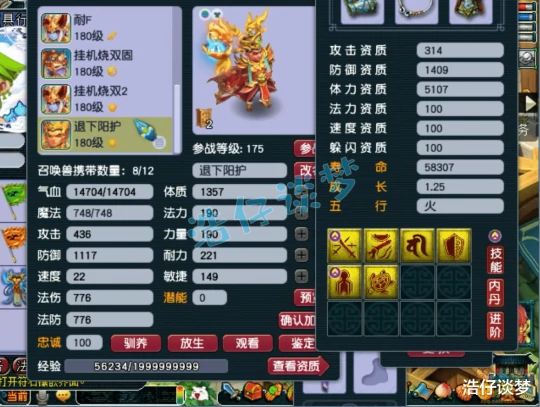 梦幻西游,梦幻西游,梦幻西游