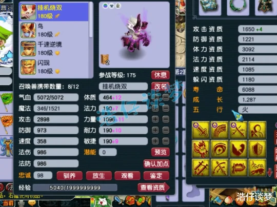 梦幻西游,梦幻西游,梦幻西游