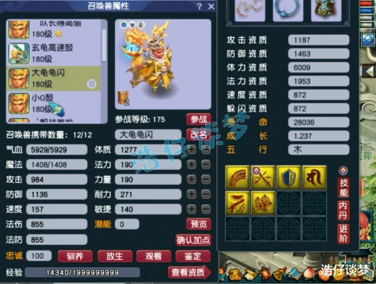 梦幻西游,梦幻西游,梦幻西游