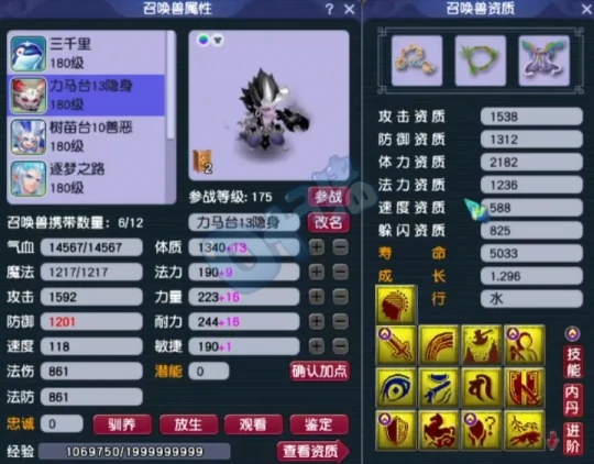 梦幻西游,三法伤玉,天科服务器,梦幻西游