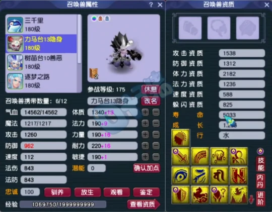梦幻西游,三法伤玉,天科服务器,梦幻西游
