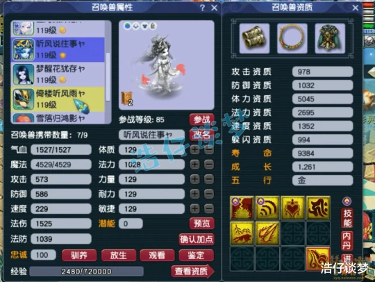 梦幻西游,梦幻西游,梦幻西游