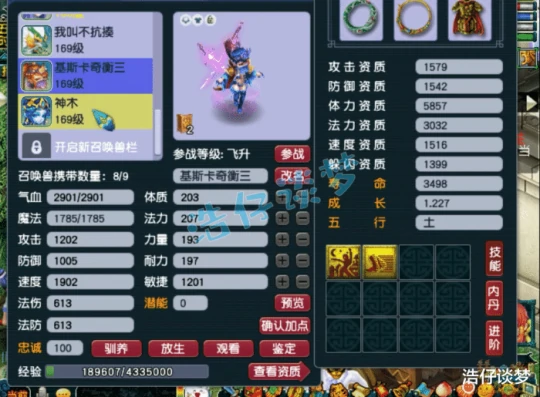 梦幻西游,梦幻西游,梦幻西游