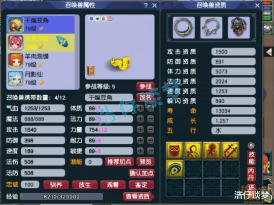 梦幻西游,梦幻西游,梦幻西游