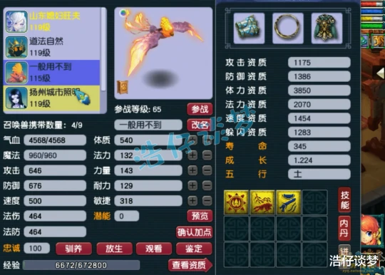 梦幻西游,梦幻西游,梦幻西游