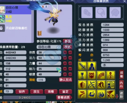 梦幻西游净台心猿玉魄魂铸任务梦幻西游