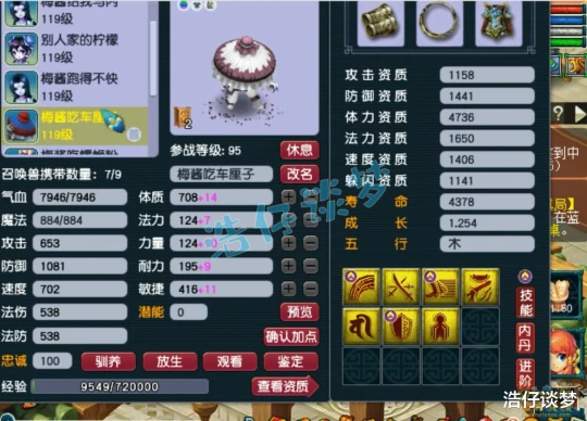梦幻西游,梦幻西游,梦幻西游
