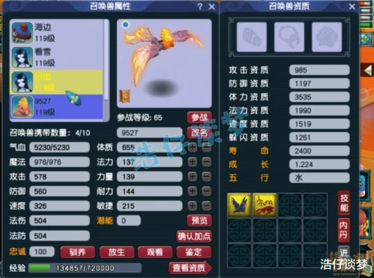 梦幻西游,梦幻西游,梦幻西游