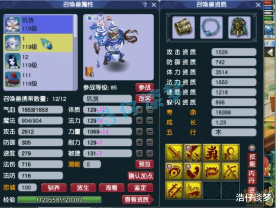 梦幻西游,梦幻西游,梦幻西游