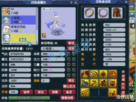 梦幻西游,梦幻西游,梦幻西游