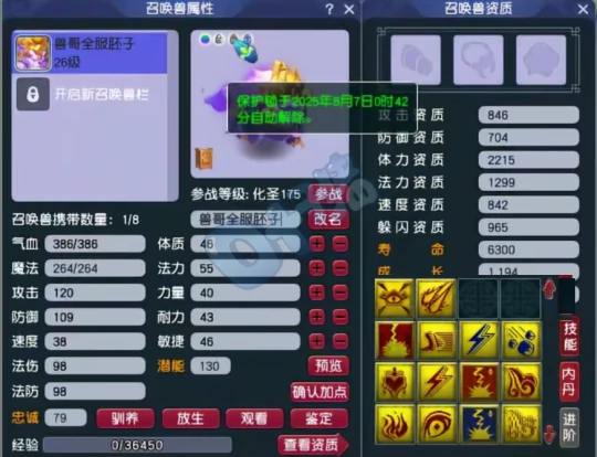 梦幻西游,金甲仙衣,89双加铠甲,梦幻西游