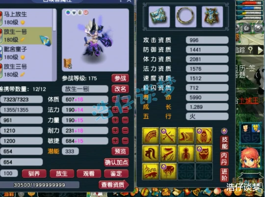 梦幻西游,梦幻西游,梦幻西游