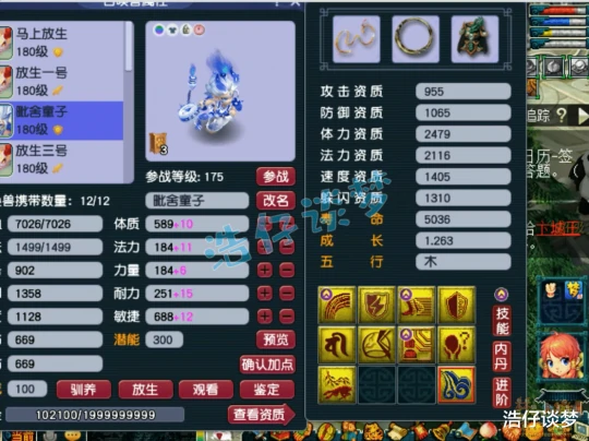 梦幻西游,梦幻西游,梦幻西游