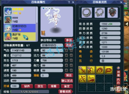 梦幻西游,梦幻西游,梦幻西游