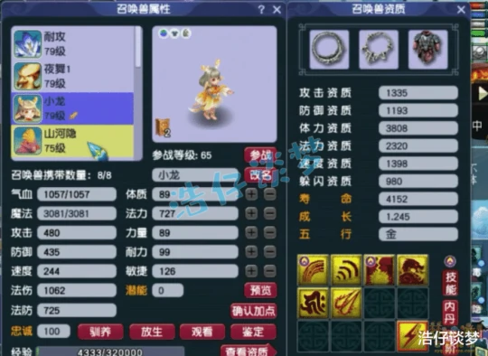 梦幻西游,梦幻西游,梦幻西游