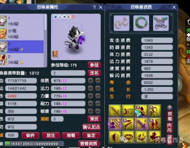 梦幻西游,175ES,天元化生,梦幻西游