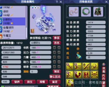 梦幻西游,175ES,天元化生,梦幻西游