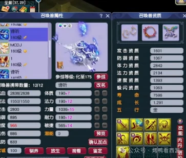 梦幻西游,175ES,天元化生,梦幻西游