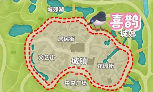 心动小镇新春季第3周4只鸟在什么位置？新春季第3周4只鸟位置图文一览