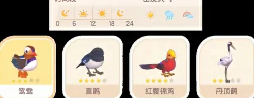 心动小镇新春季第3周4只鸟在什么位置？新春季第3周4只鸟位置图文一览