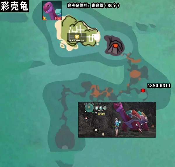创造与魔法彩壳龟什么时候刷新
