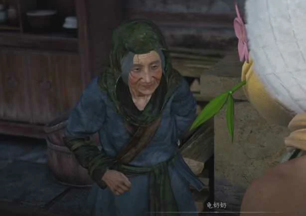 燕云十六声龟奶奶在哪里