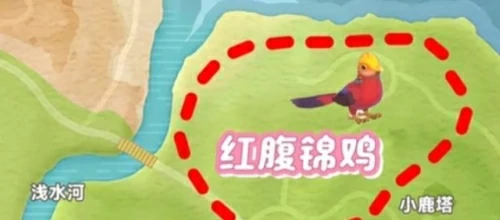 心动小镇新春季第3周4只鸟在什么位置？新春季第3周4只鸟位置图文一览