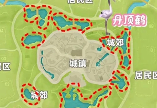 心动小镇新春季第3周4只鸟在什么位置？新春季第3周4只鸟位置图文一览