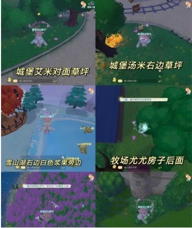 摩尔庄园黑猫脚印