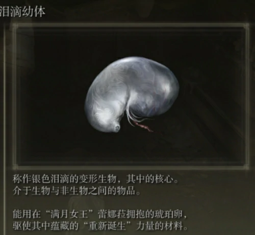 艾尔登法环如何洗点？洗点位置及泪滴幼体获取方法详解