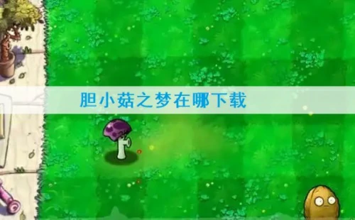 胆小菇之梦在哪下载-胆小菇之梦免费下载链接分享