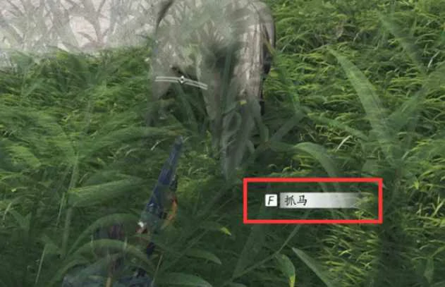 燕云十六声马怎么抓?