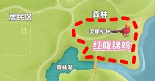 心动小镇新春季第3周4只鸟在什么位置？新春季第3周4只鸟位置图文一览